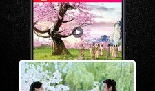 樱桃小视频,捕捉生活瞬间，传递快乐时光